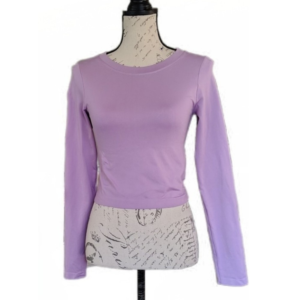 Lovepoem Nina Cropped Long Sleeve Lavendar Purple S Stretch Fitted Balletcore